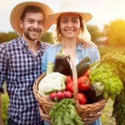 Travailler en couple sur une exploitation agricole (La lettre du Notaire N°109) - La lettre des Notaires de France Février 2020 - Notaire Ville-d'Avray 92410 - Office Notarial Maître Delphine MARIE-SUTTER