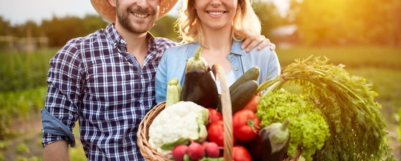 Travailler en couple sur une exploitation agricole (La lettre du Notaire N°109) - La lettre des Notaires de France Février 2020 - Notaire Ville-d'Avray 92410 - Office Notarial Maître Delphine MARIE-SUTTER