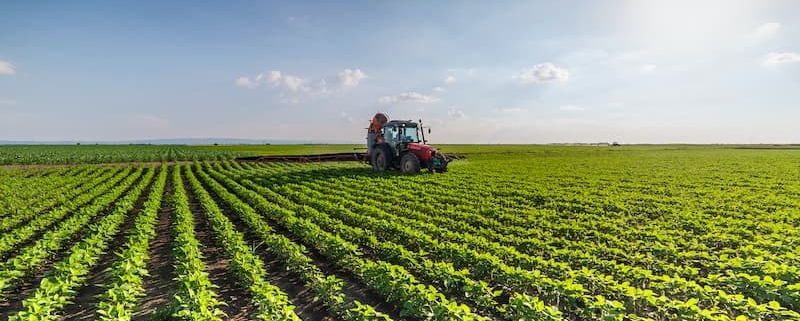 Monde agricole : sociétés spécifiques et bail rural - Notaire Ville-d'Avray 92410 - Office Notarial Maître Delphine MARIE-SUTTER